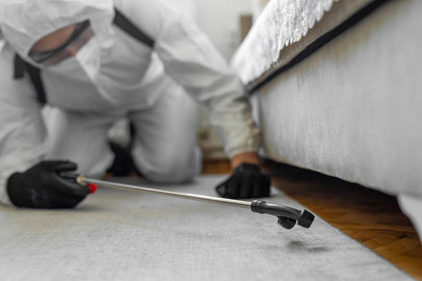 Professional Bed Bug Control technician working in Mill Plain, CT