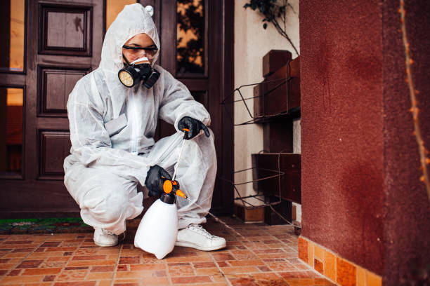 Reliable Bed Bug Control contractor in Mill Plain, CT by Nex Pest Control